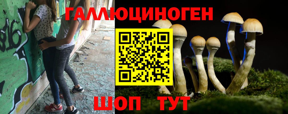 Галлюциногенные грибы Psilocybe  Вход с VPN  Новокузнецк 