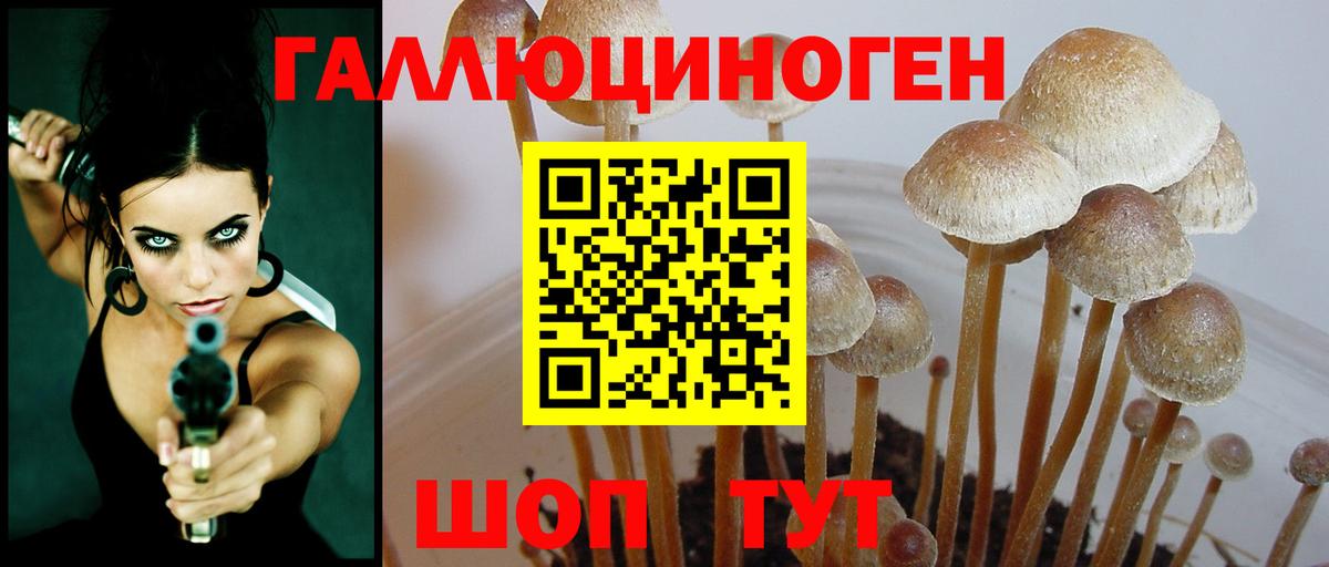 Псилоцибиновые грибы ЛСД Новокузнецк